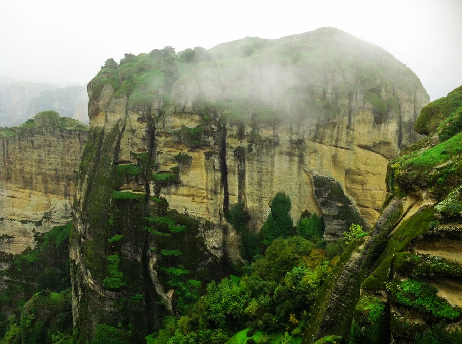 Meteora forest Greece
