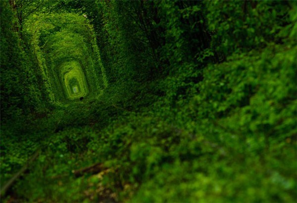 green tunnel of love