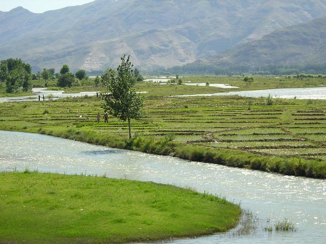 swat fields