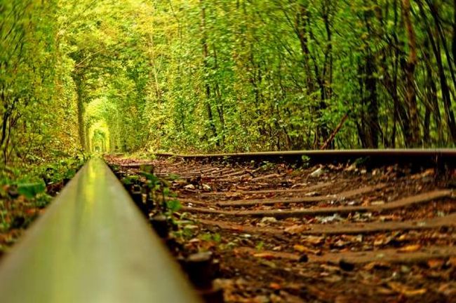 the tunnel of love