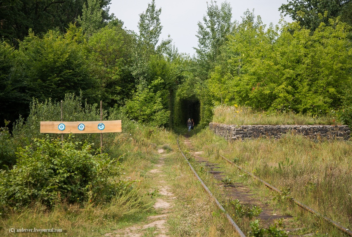 tunnel of love entrance