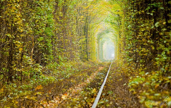 tunnel of love klevan ukraine