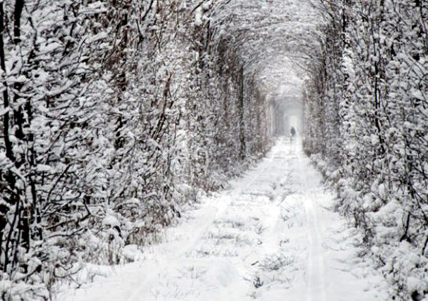 tunnel of love snow