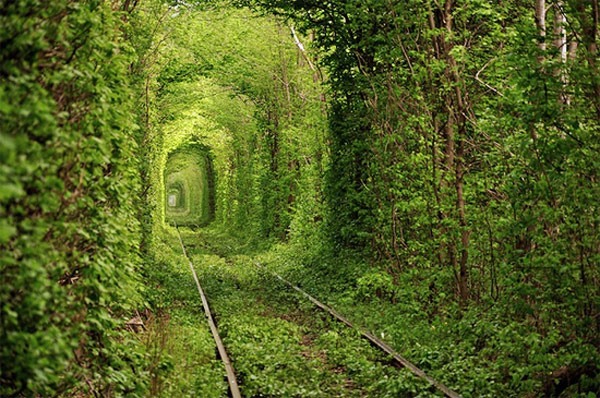 tunnel of love