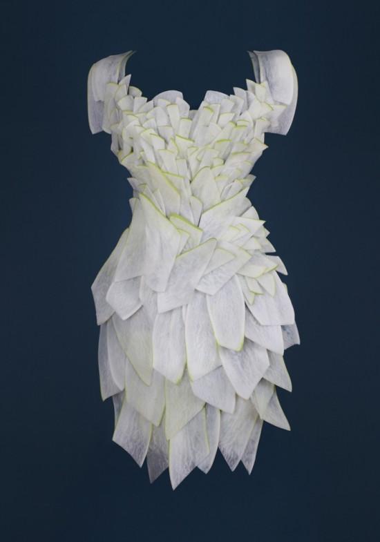 Radish dress of food