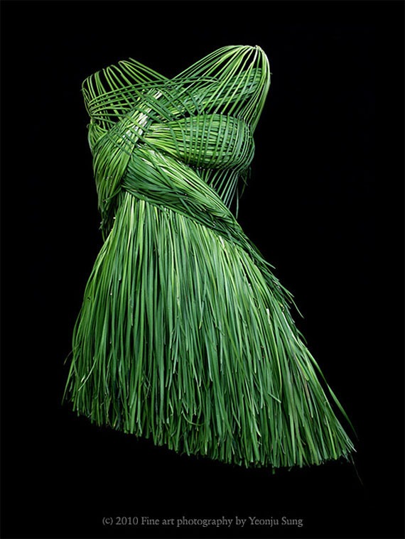 Dresses made of food