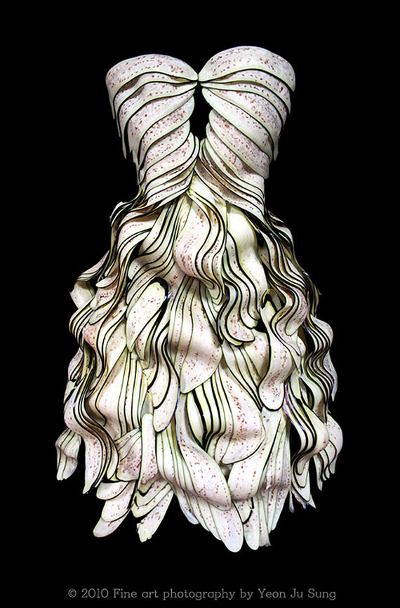 Egg Plant Food Dresses