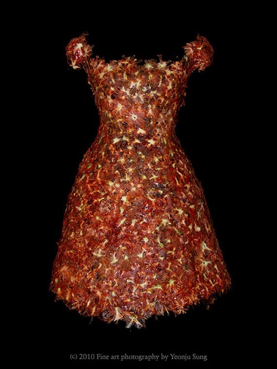 Tomato food dress