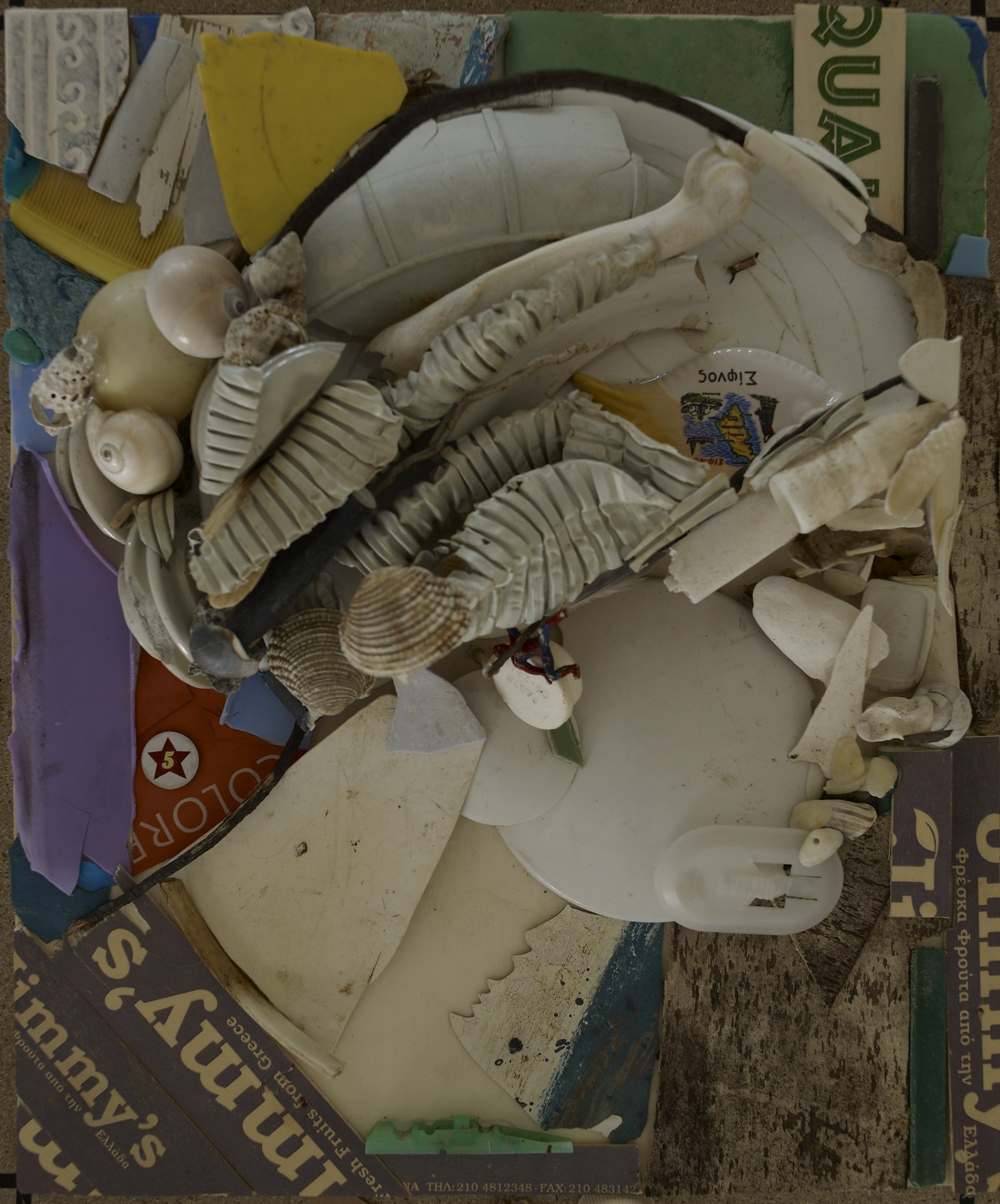 Anamorphic Portrait aphrodite