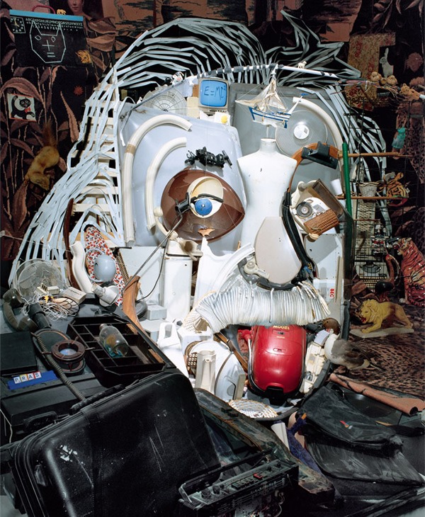 anamorphic portrait einstein-bernard-pras