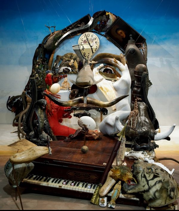 salvador-dali Anamorphic Portrait