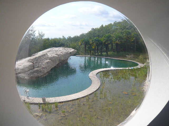 Bubble house window