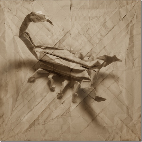 Marc Fichou origami scorpion