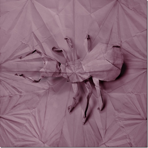 origami bug Marc Fichou