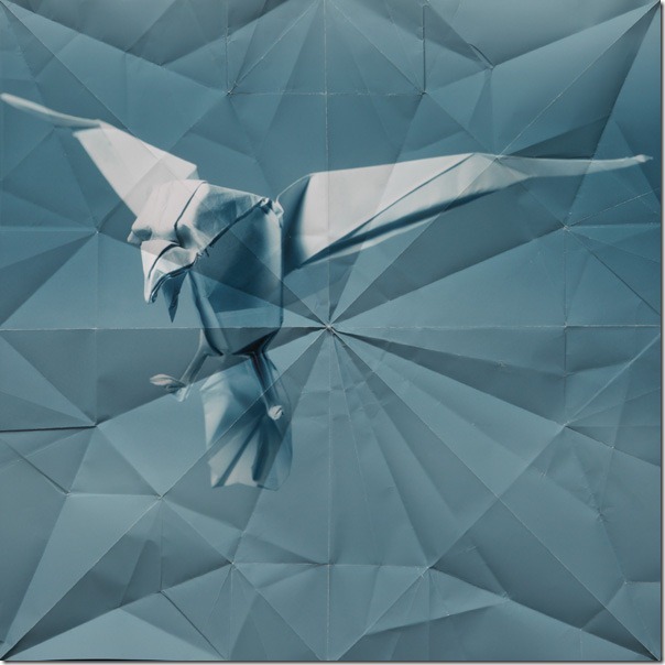 eagle Marc Fichou