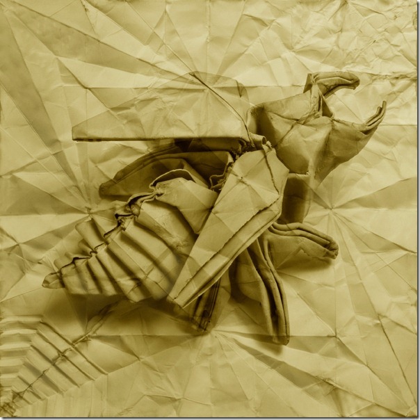 origami insect Marc Fichou