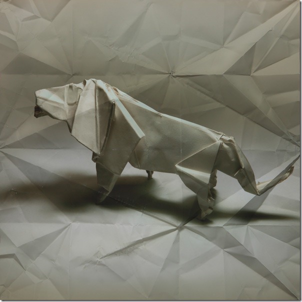 Superb Series of Origami Animals by Marc Fichou - Random Whispers