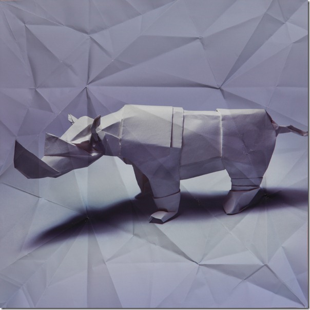 origami rihno Marc Fichou
