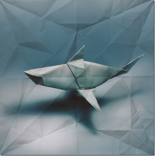 shark Marc Fichou