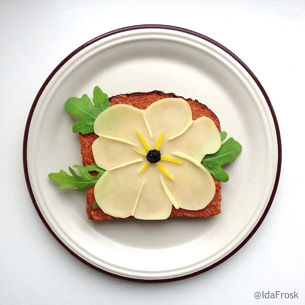 ida frosk skivenes art toast