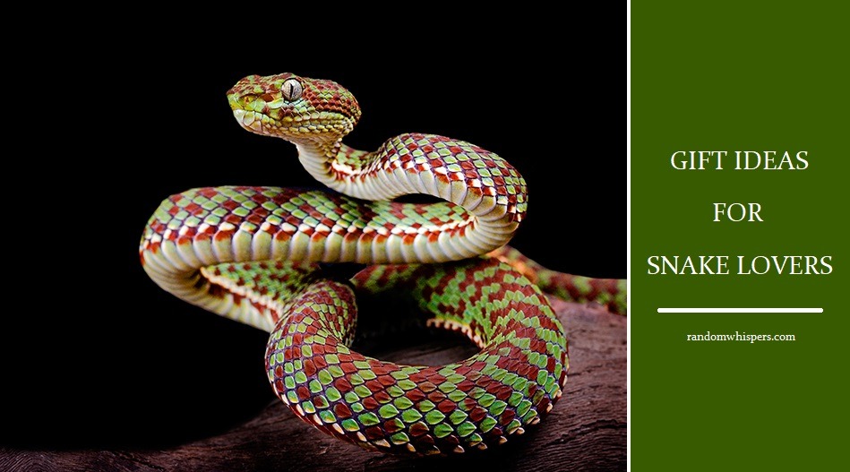 Perfect Gift Ideas For Snake Lovers