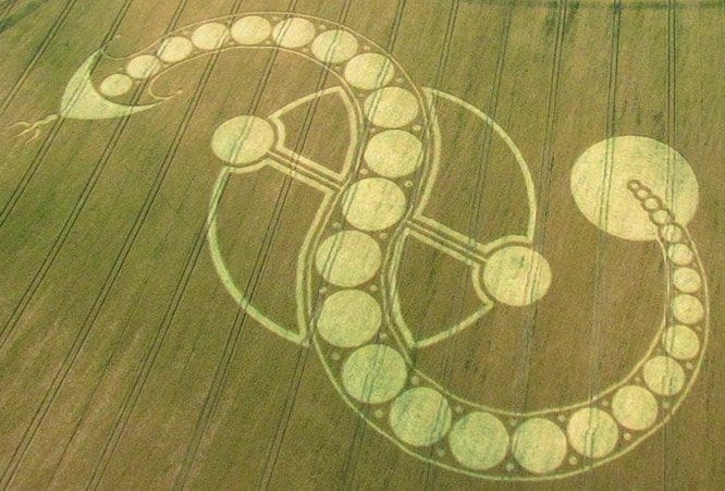 Crop Circle serpent