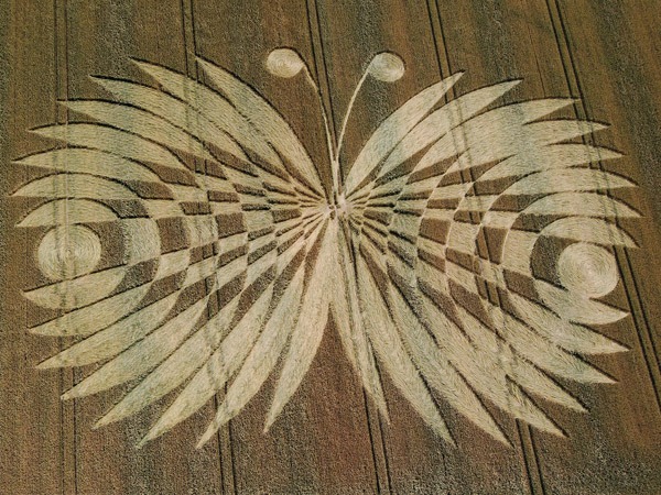 Crop circle Art
