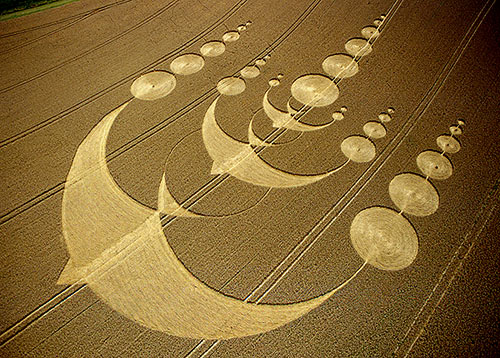 Crop circles birds