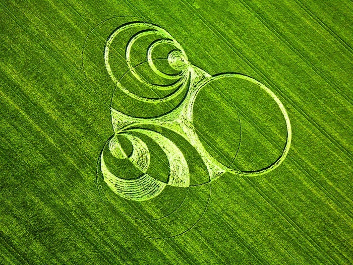 crop circle design fact