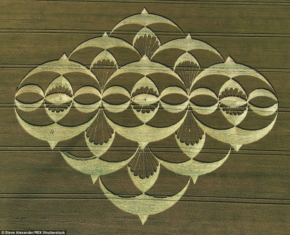 crop circle secret