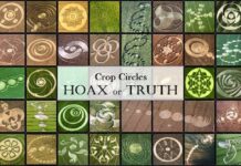 Crop Circles hoax truth