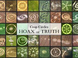 Crop Circles hoax truth