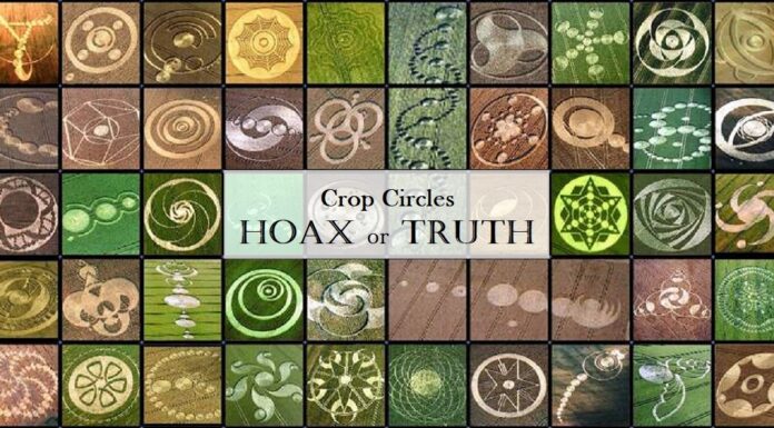 Crop Circles hoax truth
