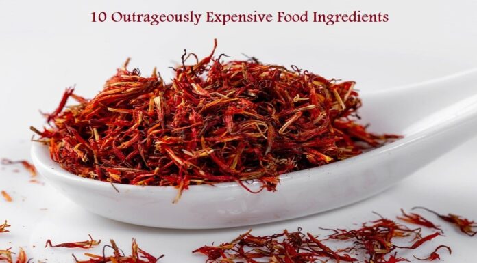 most expensive food in the world