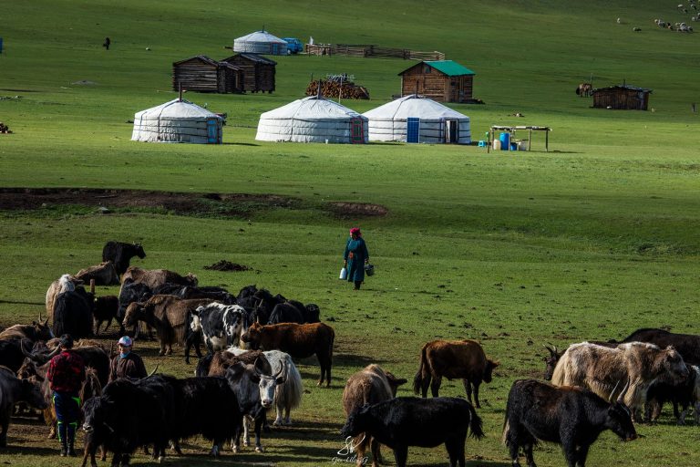 Nomadic Culture Mongolia